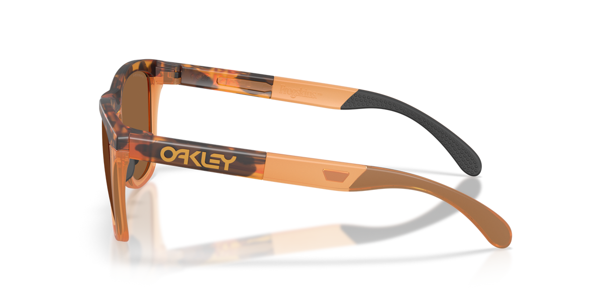 Oakley Frogskins Range XL A Glasses-3