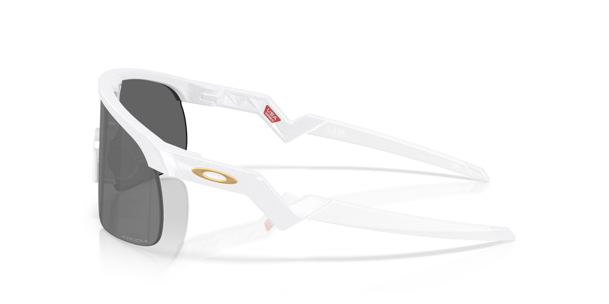 Oakley Resistor Sunglasses-3