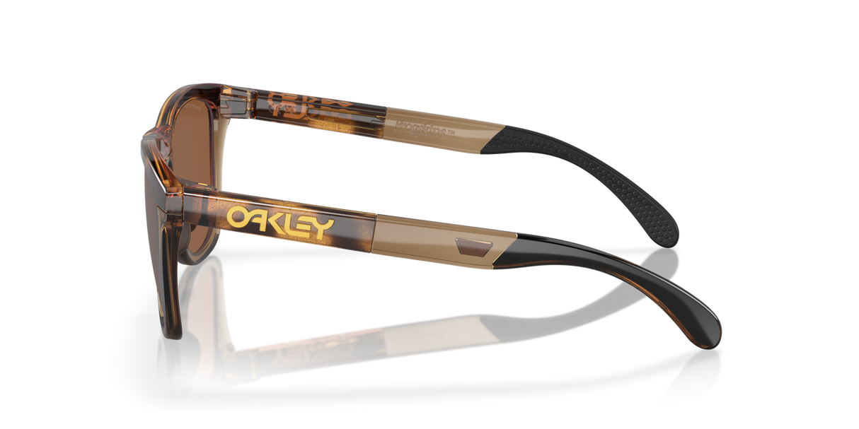 Oakley Frogskins Range Glasses-3