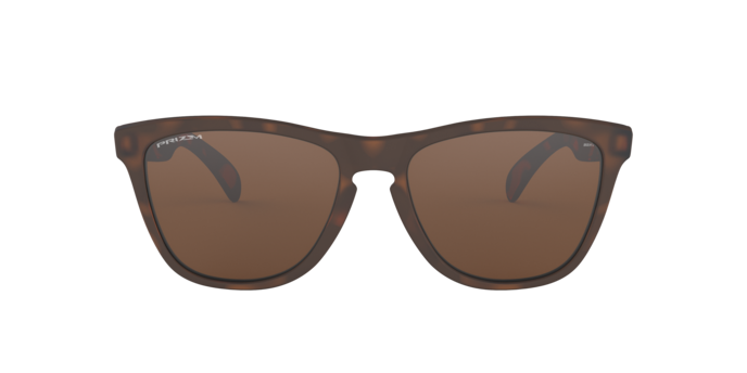 Oakley Frogskins Glasses-2
