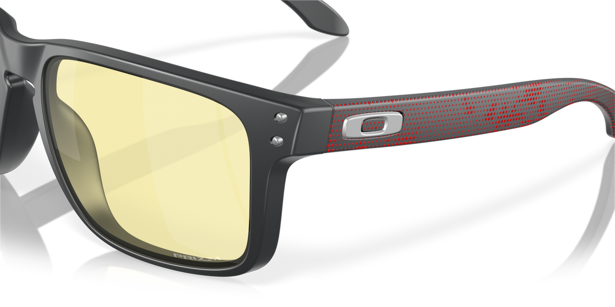 Oakley Holbrook XL Glasses-6