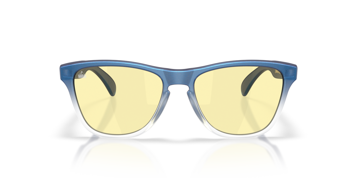 Oakley Frogskins S Glasses-8