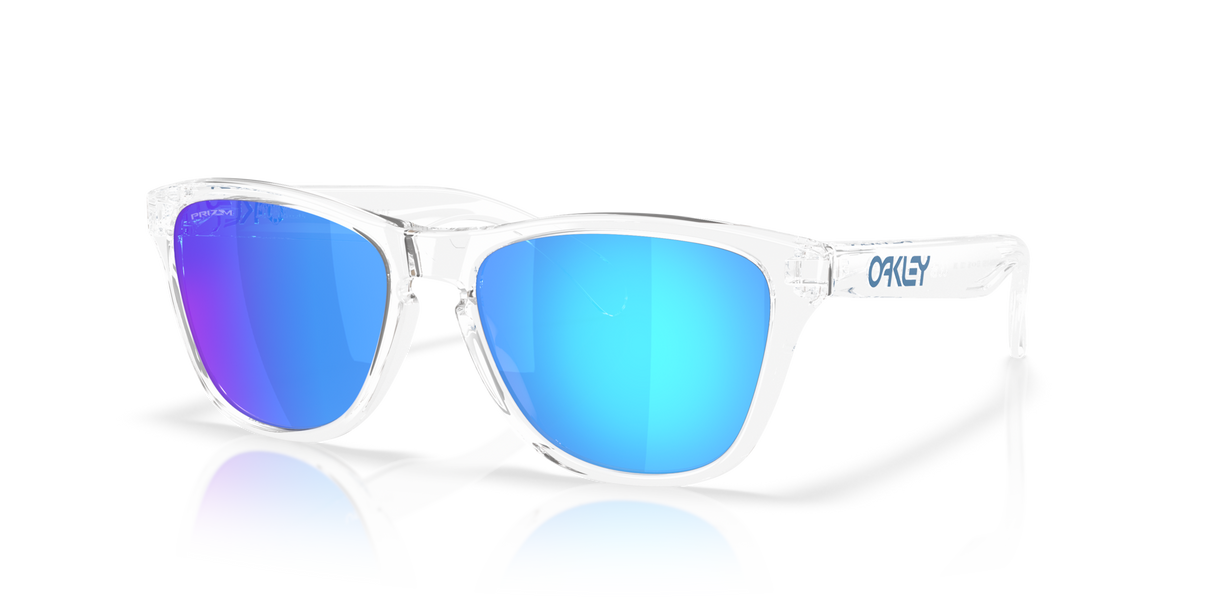 Oakley Frogskins S Glasses-2