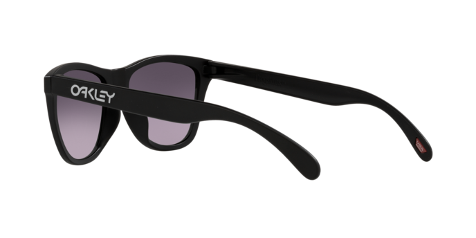 Oakley Frogskins A Glasses-12