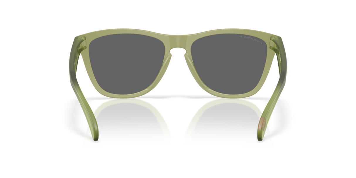 Oakley Frogskins Glasses-4