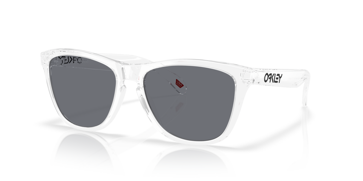 Oakley Frogskins Glasses-2