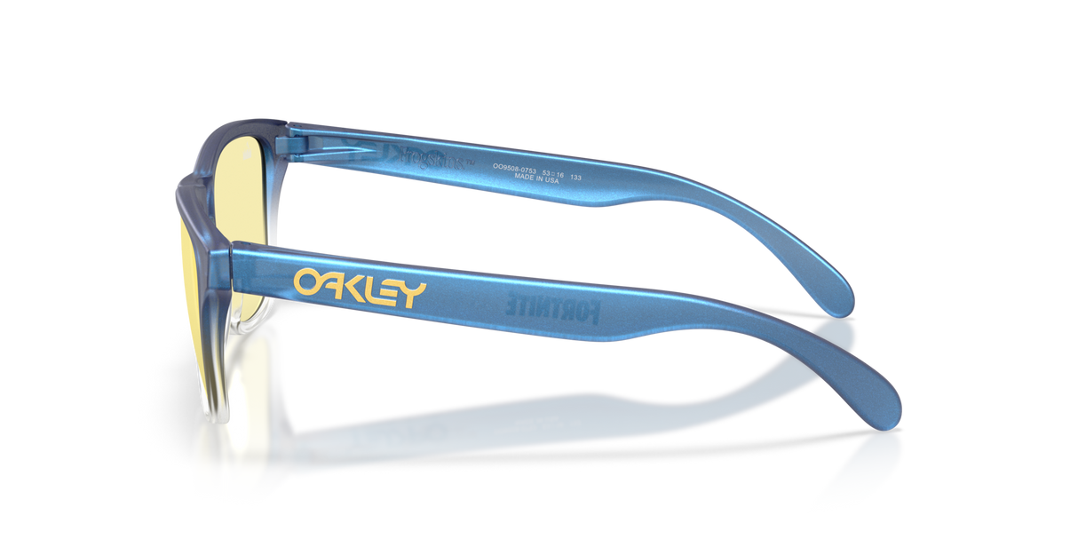 Oakley Frogskins S Glasses-3
