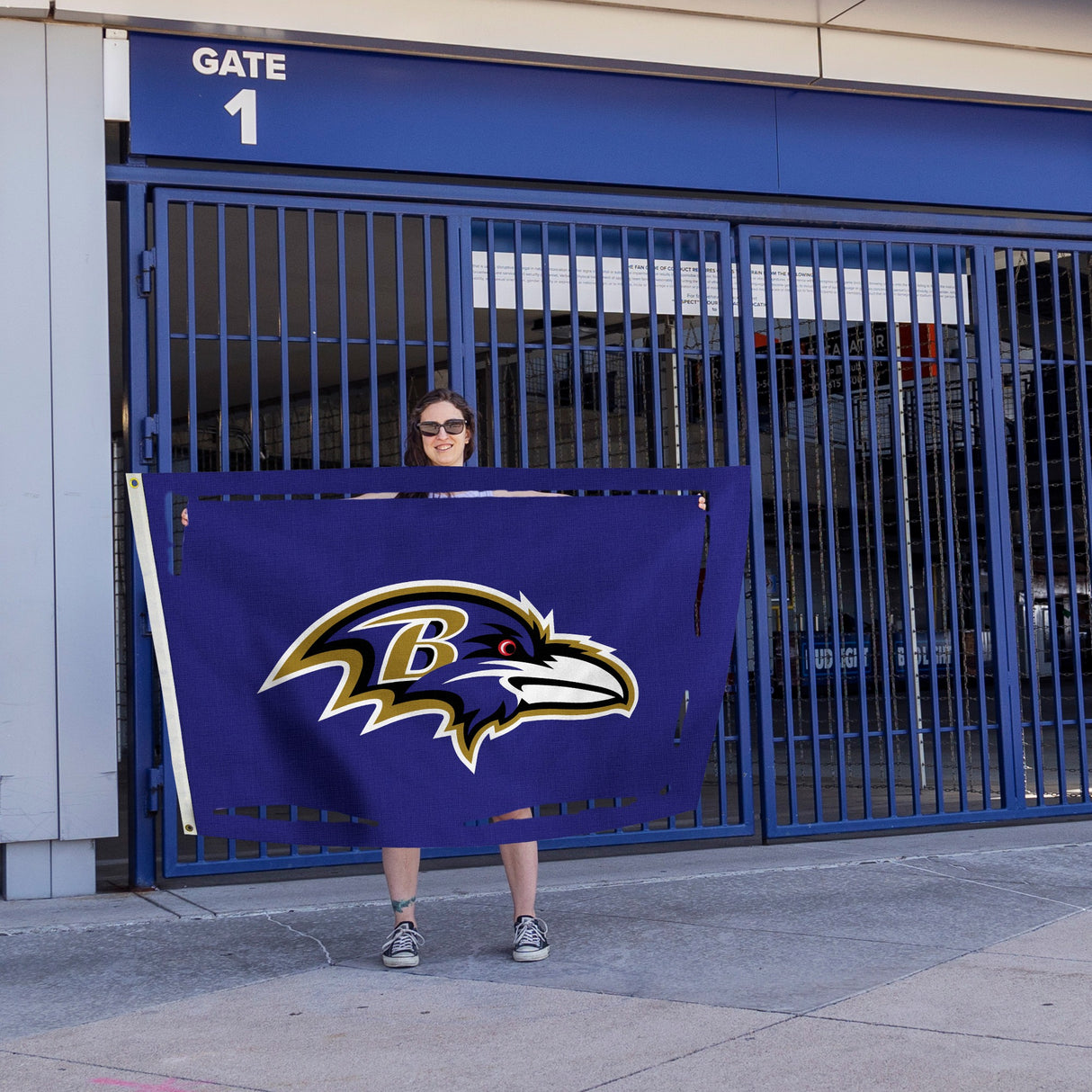 Rico Industries NFL Baltimore Ravens Standard 3' x 5' Banner Flag-4