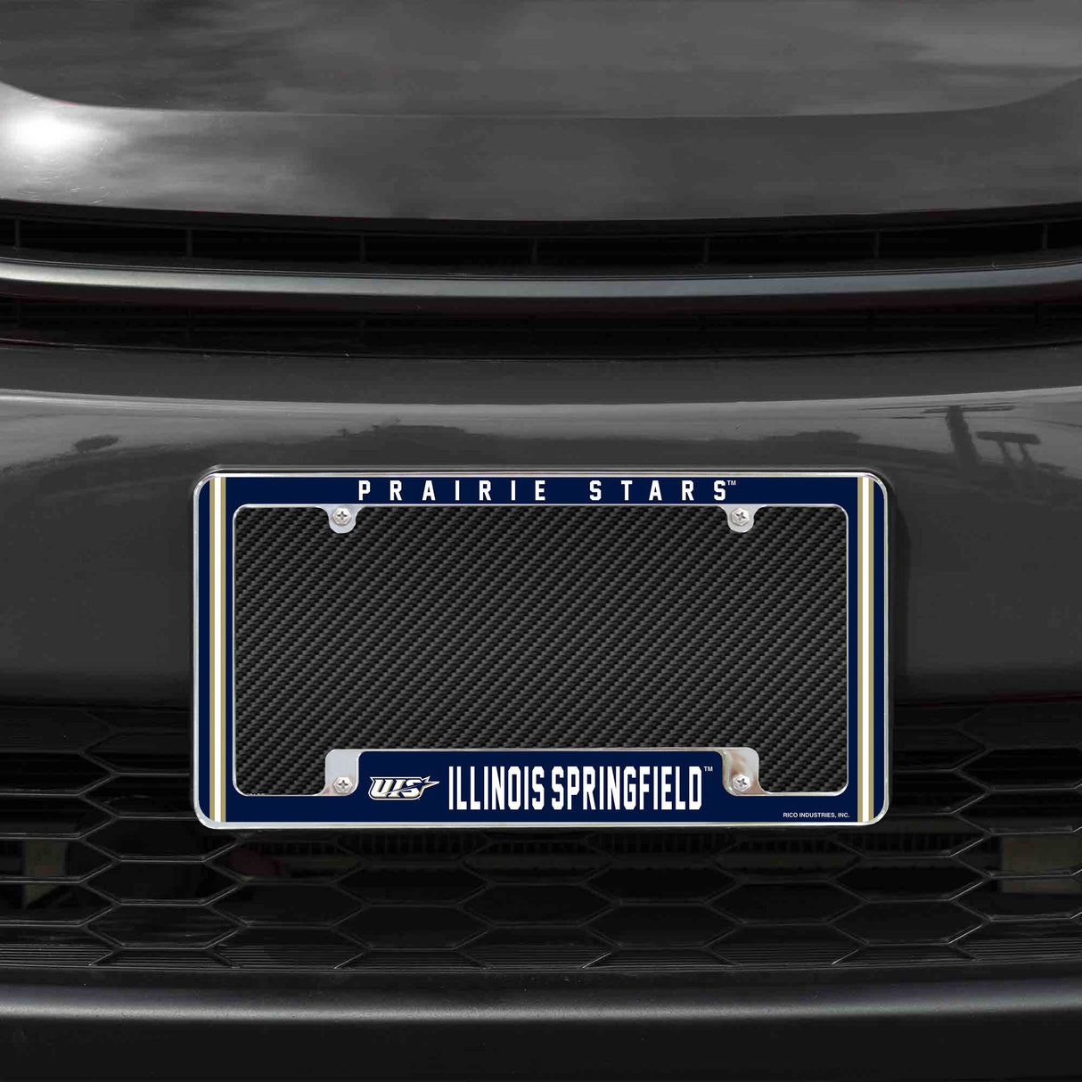 Rico Industries NCAA Illinois-Springfield Prairie Stars 12" x 6" Chrome License Plate Frame-1