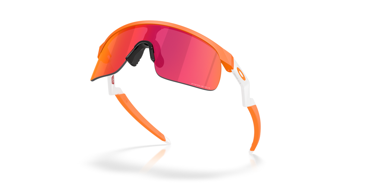 Oakley Resistor Sunglasses-5