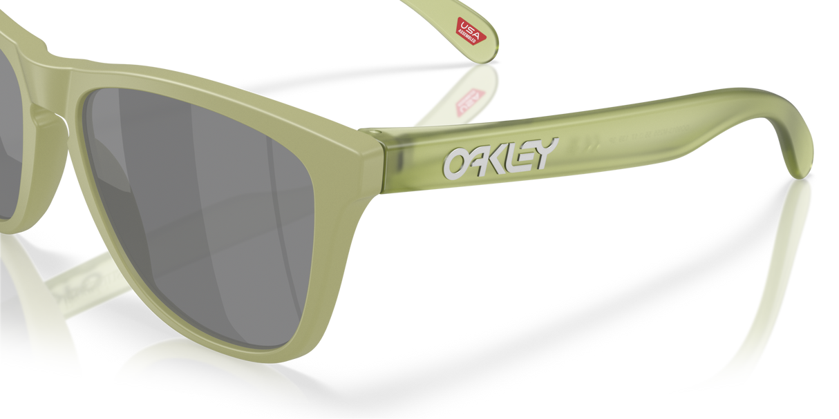 Oakley Frogskins Glasses-6