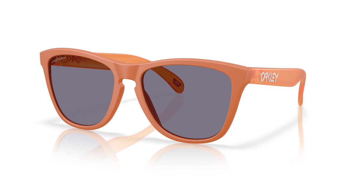 Oakley Frogskins Glasses-2