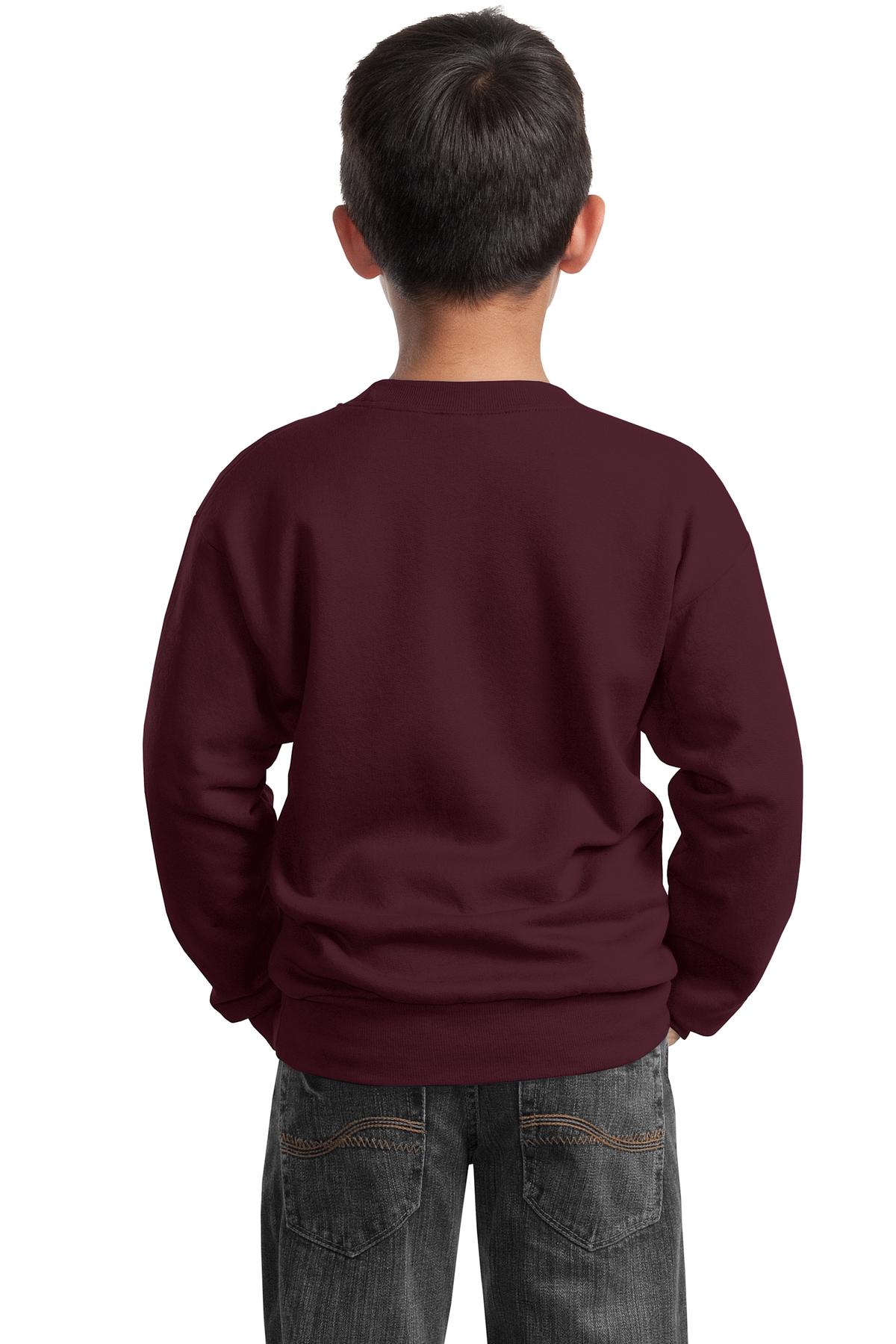 Port & Company - Youth Core Fleece Crewneck Sweatshirt Youth Apparel Hoodies & Sweatshirts
