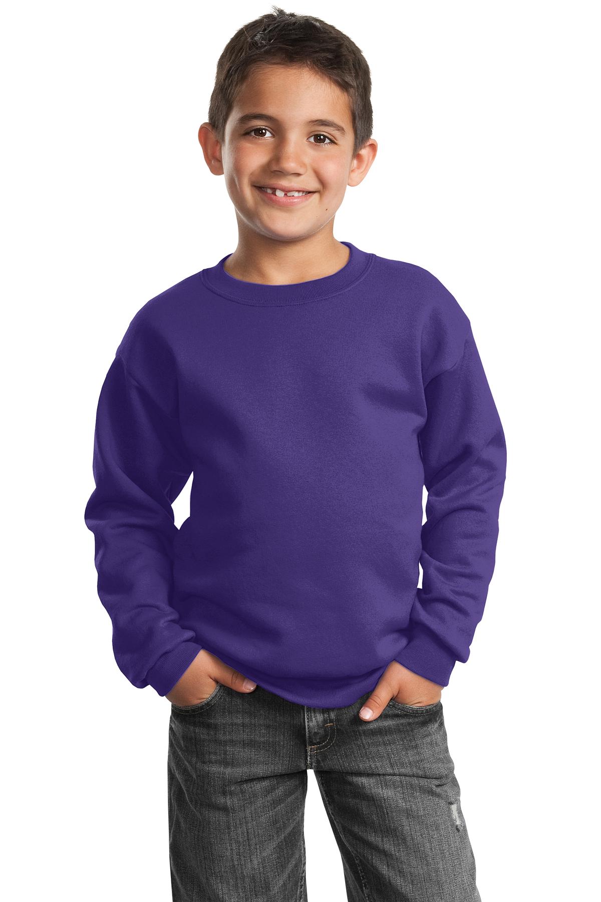 Port & Company - Youth Core Fleece Crewneck Sweatshirt Youth Apparel Hoodies & Sweatshirts