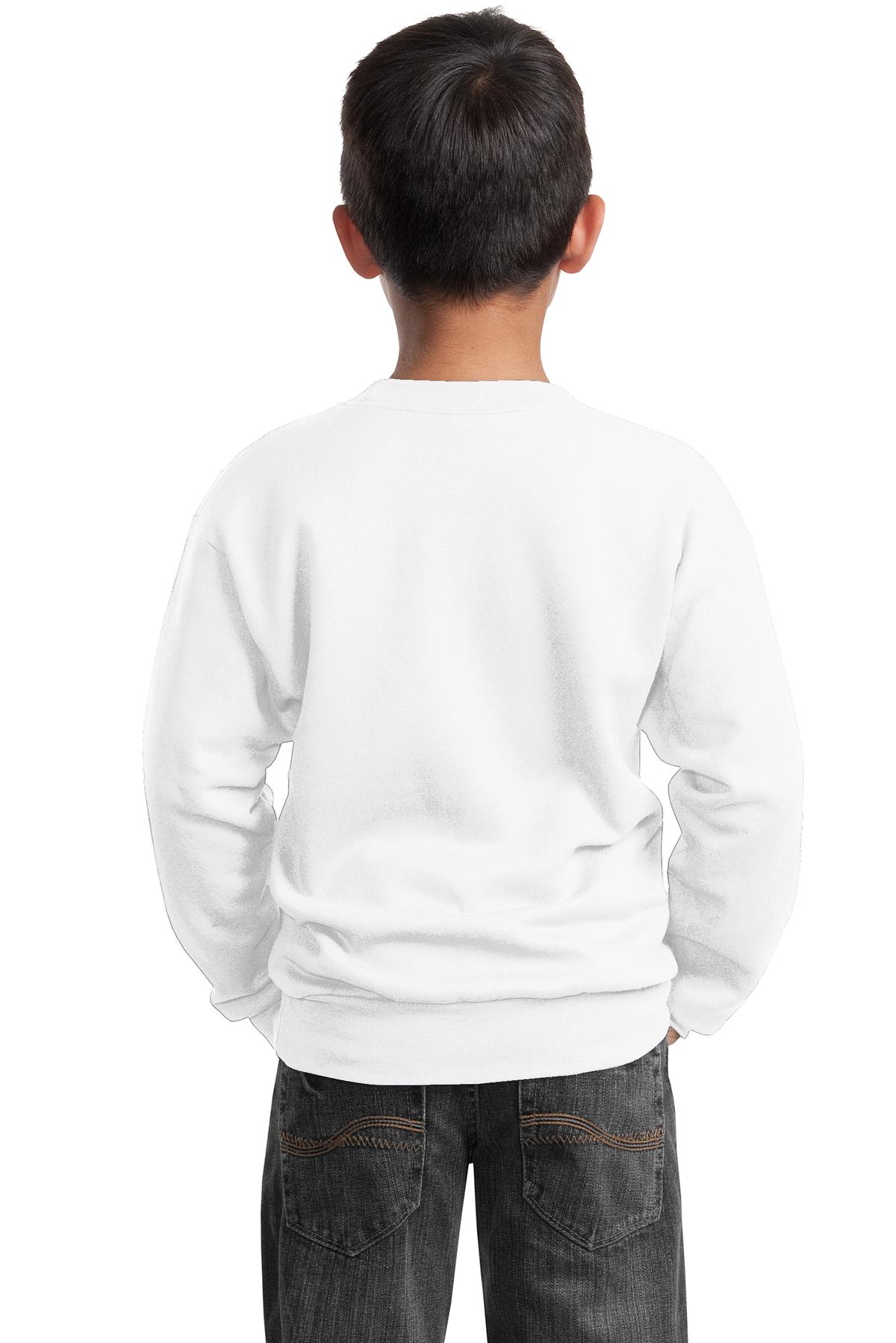 Port & Company - Youth Core Fleece Crewneck Sweatshirt Youth Apparel Hoodies & Sweatshirts
