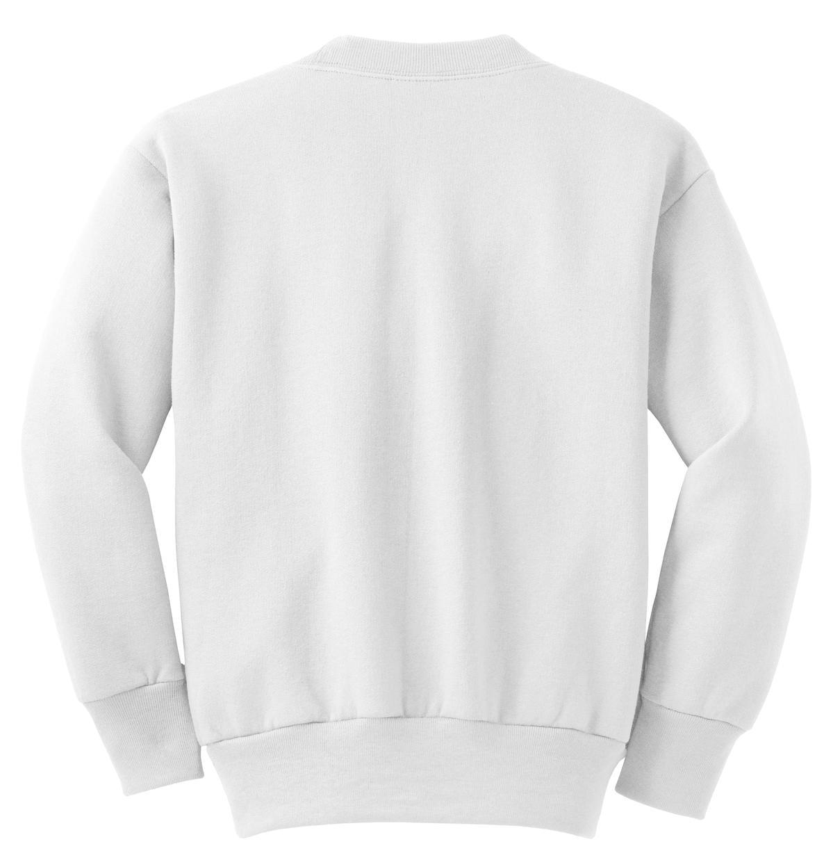 Port & Company - Youth Core Fleece Crewneck Sweatshirt Youth Apparel Hoodies & Sweatshirts
