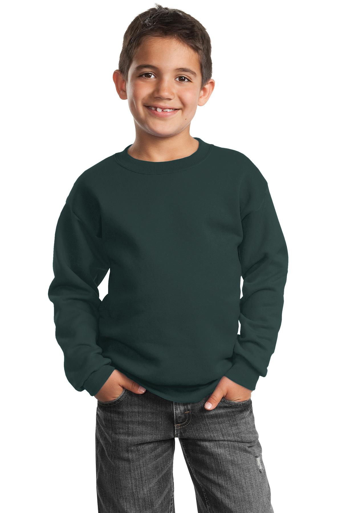 Port & Company - Youth Core Fleece Crewneck Sweatshirt Youth Apparel Hoodies & Sweatshirts