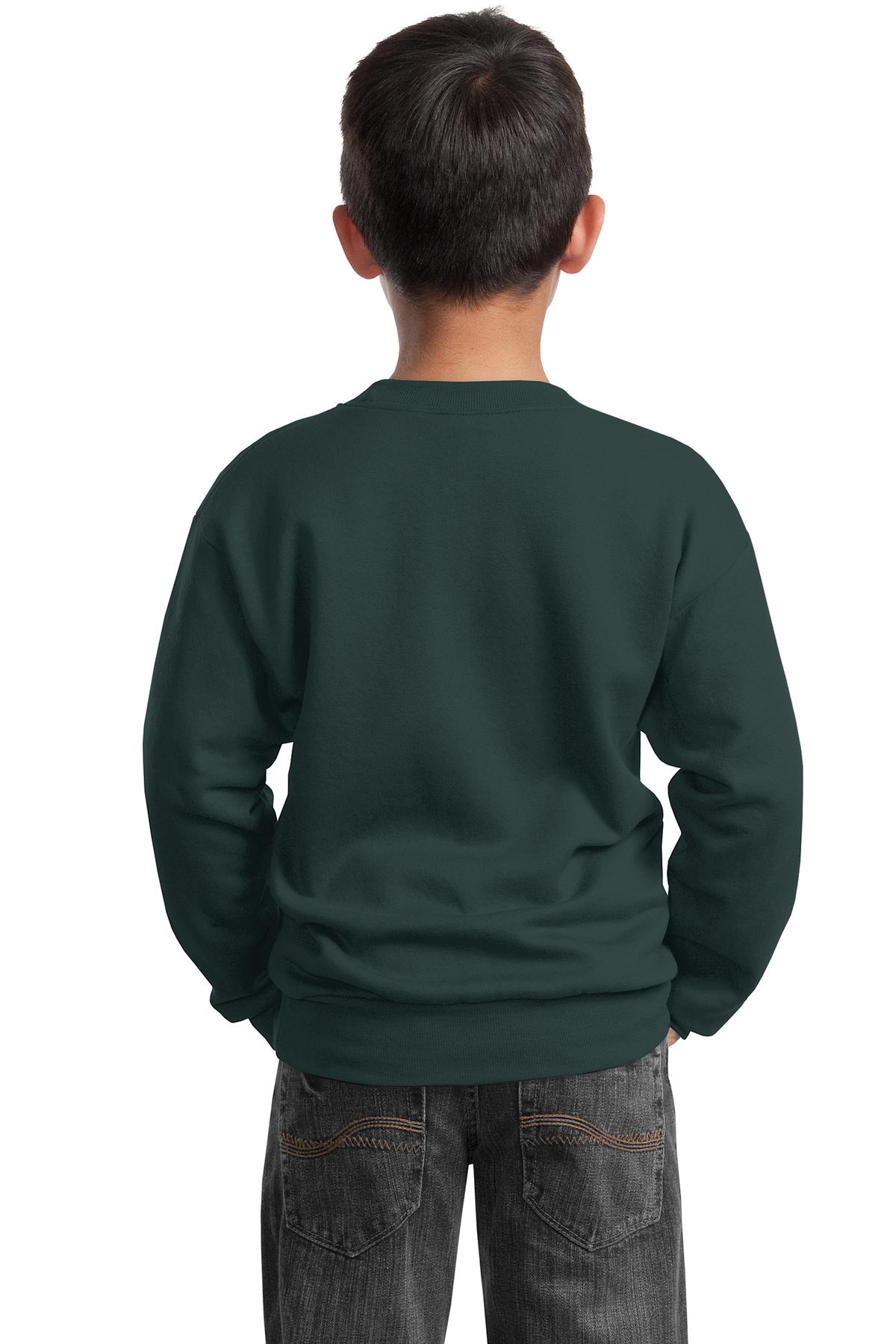 Port & Company - Youth Core Fleece Crewneck Sweatshirt Youth Apparel Hoodies & Sweatshirts