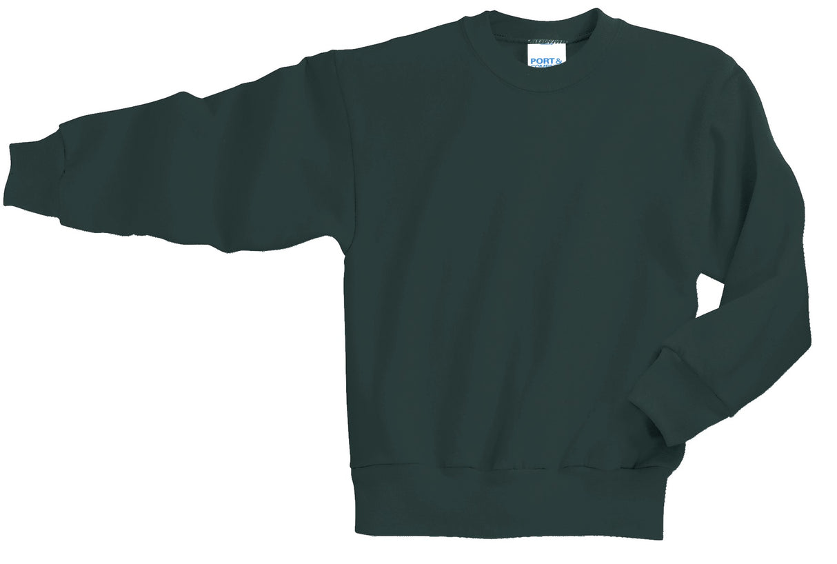 Port & Company - Youth Core Fleece Crewneck Sweatshirt Youth Apparel Hoodies & Sweatshirts