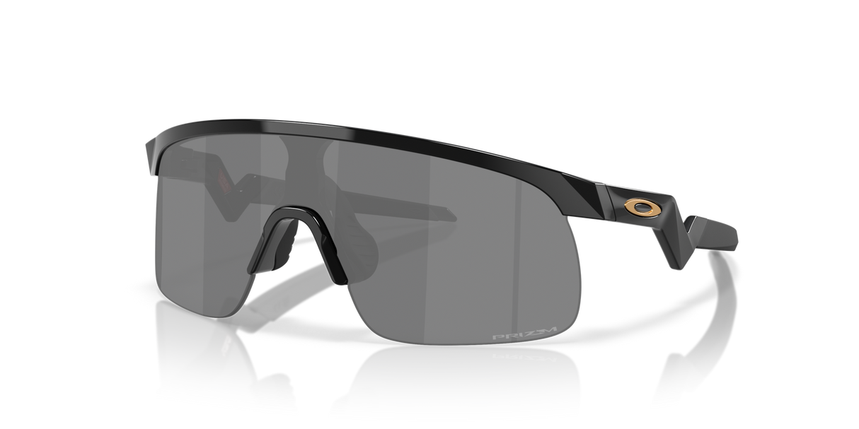 Oakley Resistor Sunglasses-2