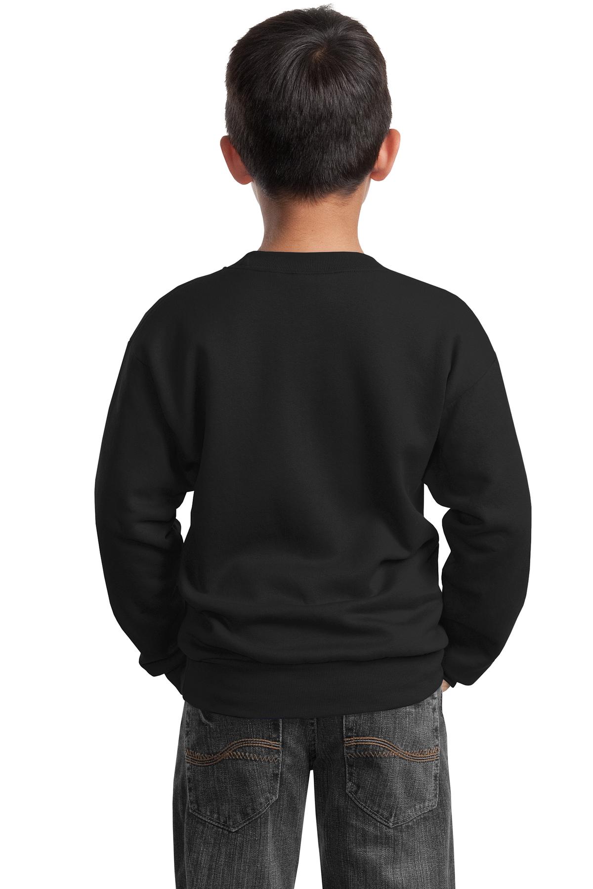 Port & Company - Youth Core Fleece Crewneck Sweatshirt Youth Apparel Hoodies & Sweatshirts
