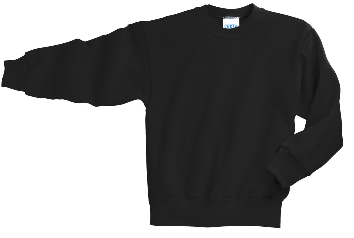 Port & Company - Youth Core Fleece Crewneck Sweatshirt Youth Apparel Hoodies & Sweatshirts