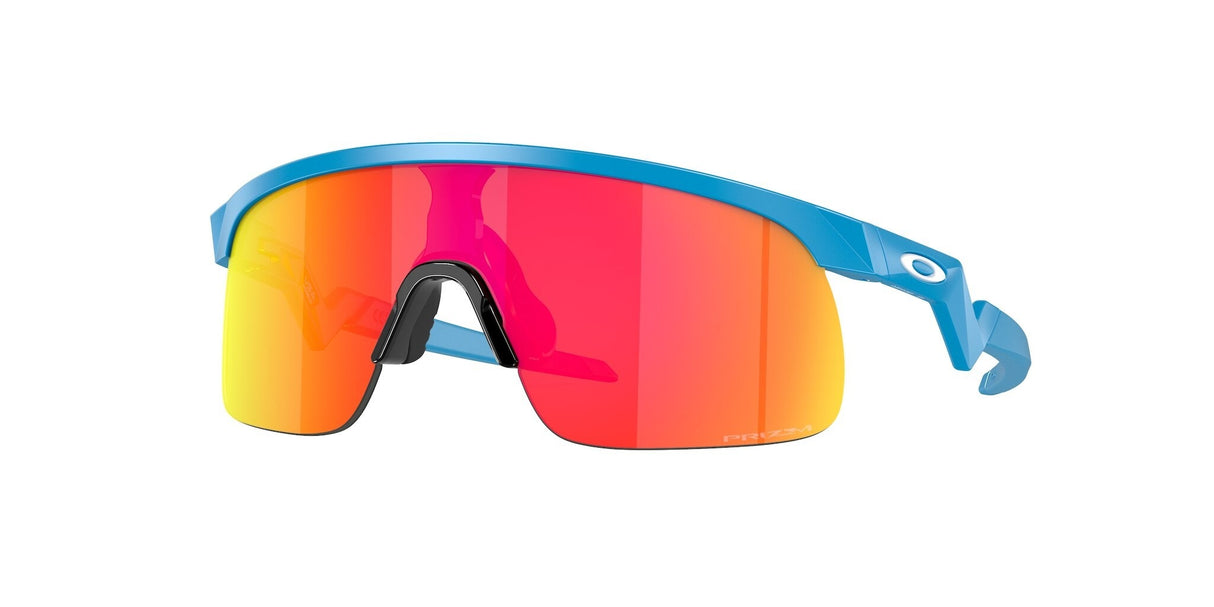 Oakley Resistor Sunglasses-1