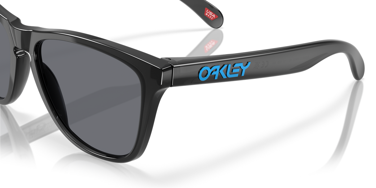 Oakley Frogskins Glasses-6