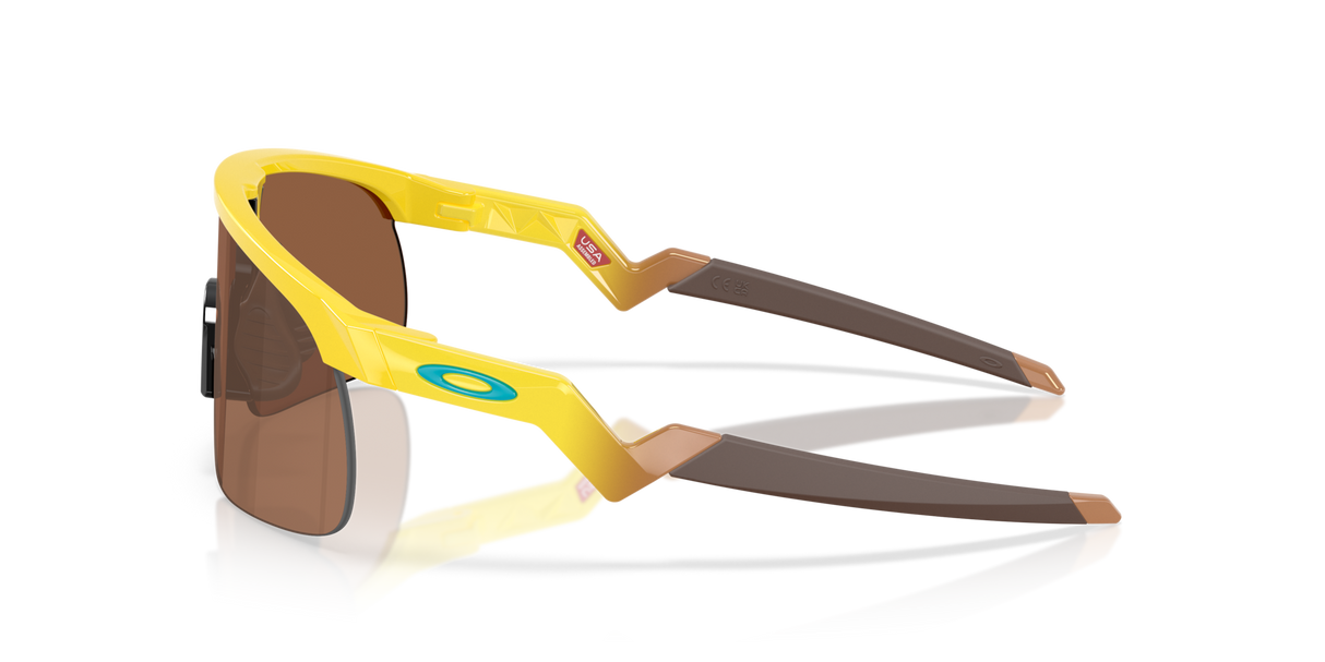 Oakley Resistor Sunglasses-3