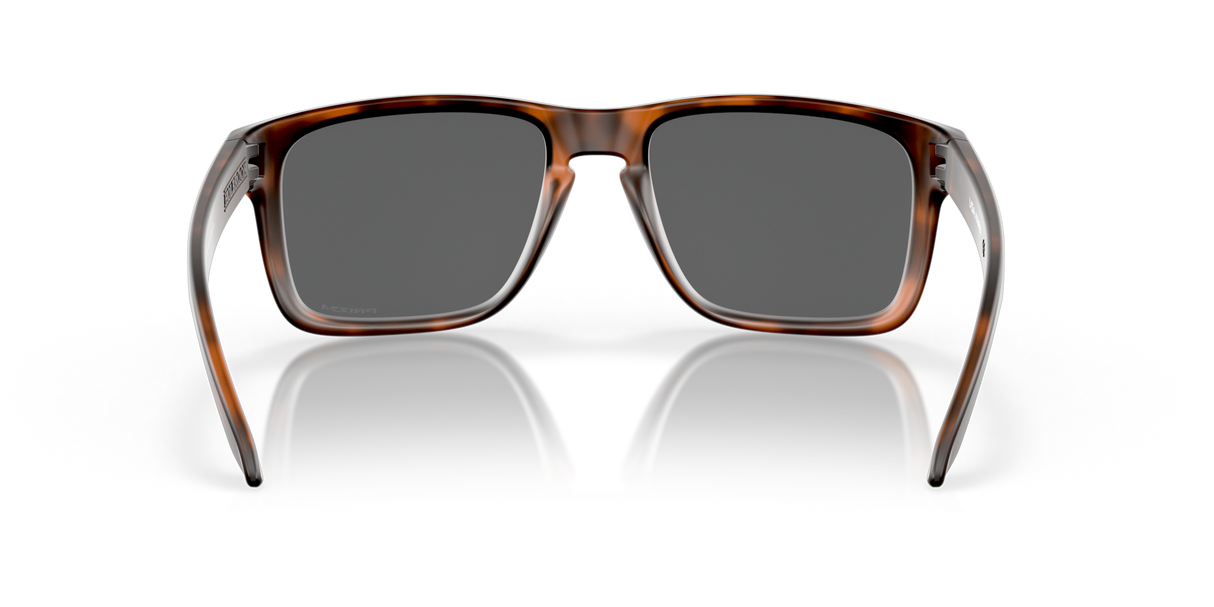 Oakley Holbrook XL Glasses-7
