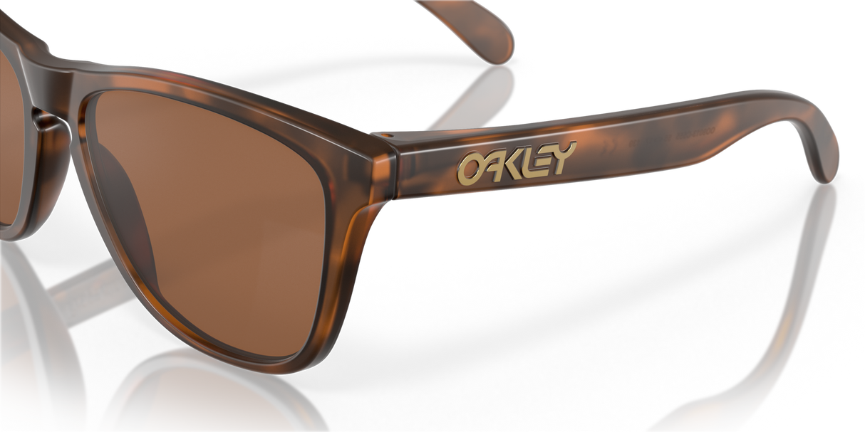 Oakley Frogskins Glasses-10