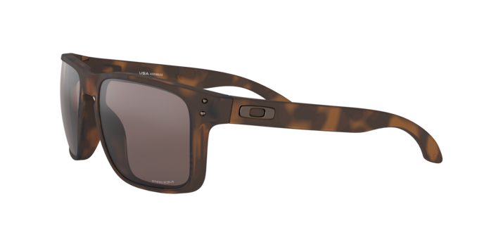 Oakley Holbrook XL Glasses-6