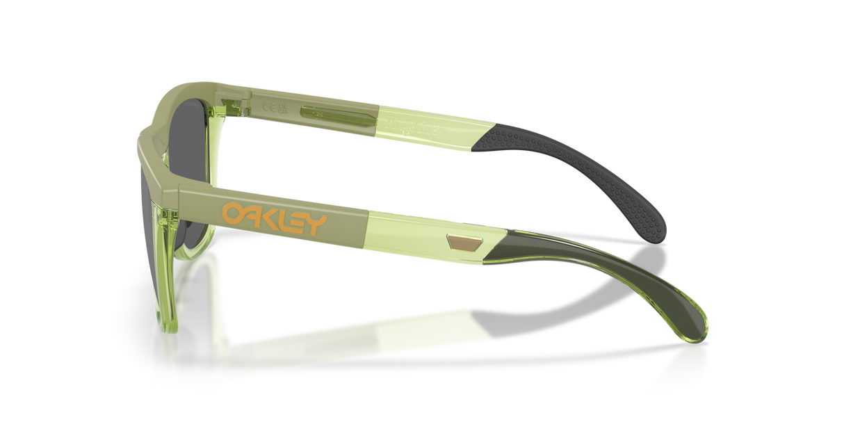 Oakley Frogskins Range XL Glasses-3