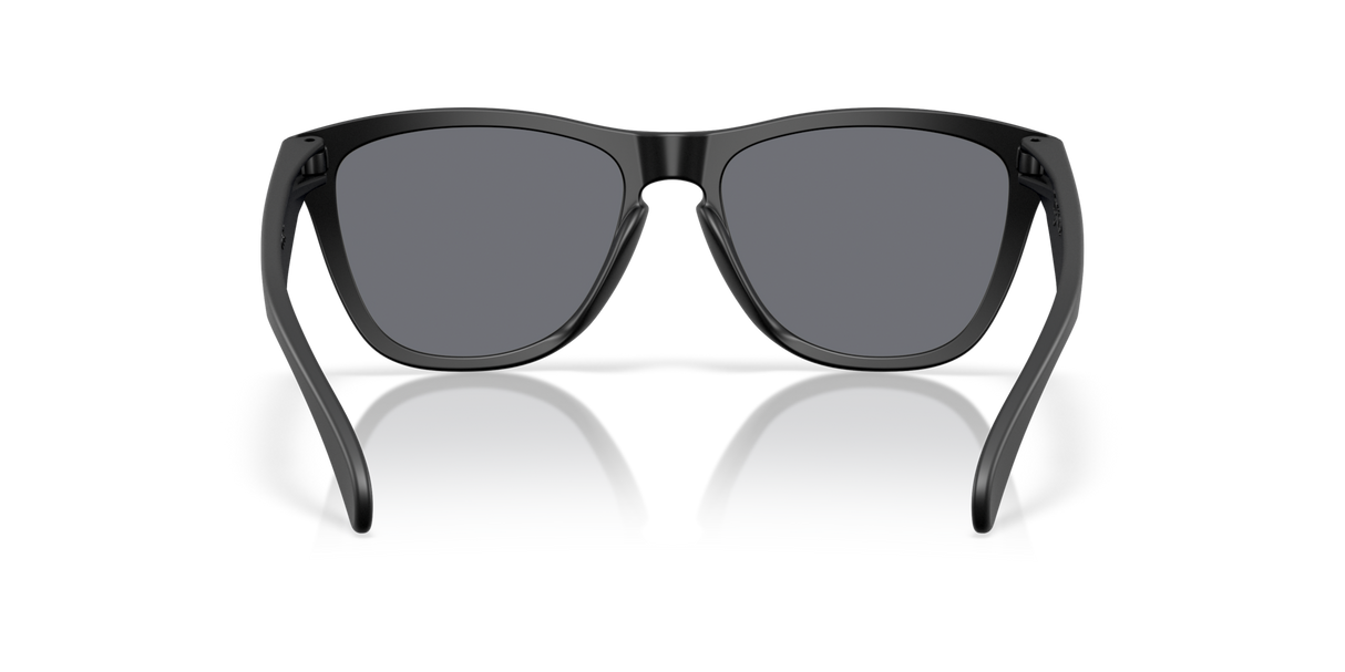 Oakley Frogskins Glasses-4