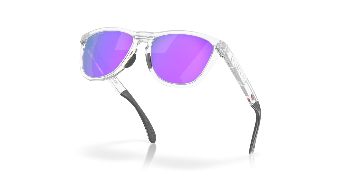 Oakley Frogskins Range Glasses-5