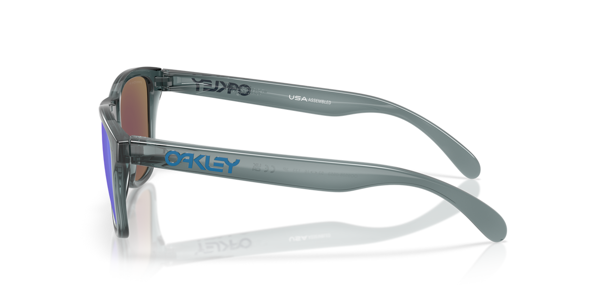 Oakley Frogskins S Glasses-3