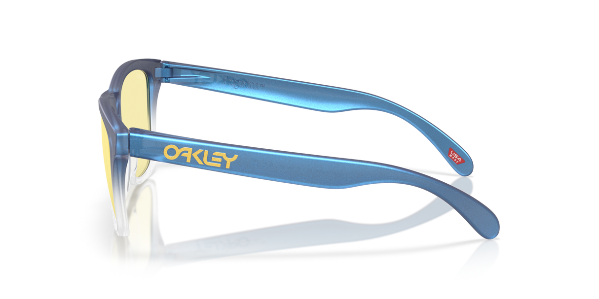 Oakley Frogskins Glasses-3