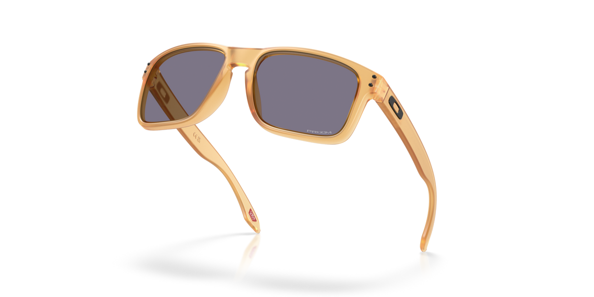 Oakley Holbrook Glasses-5