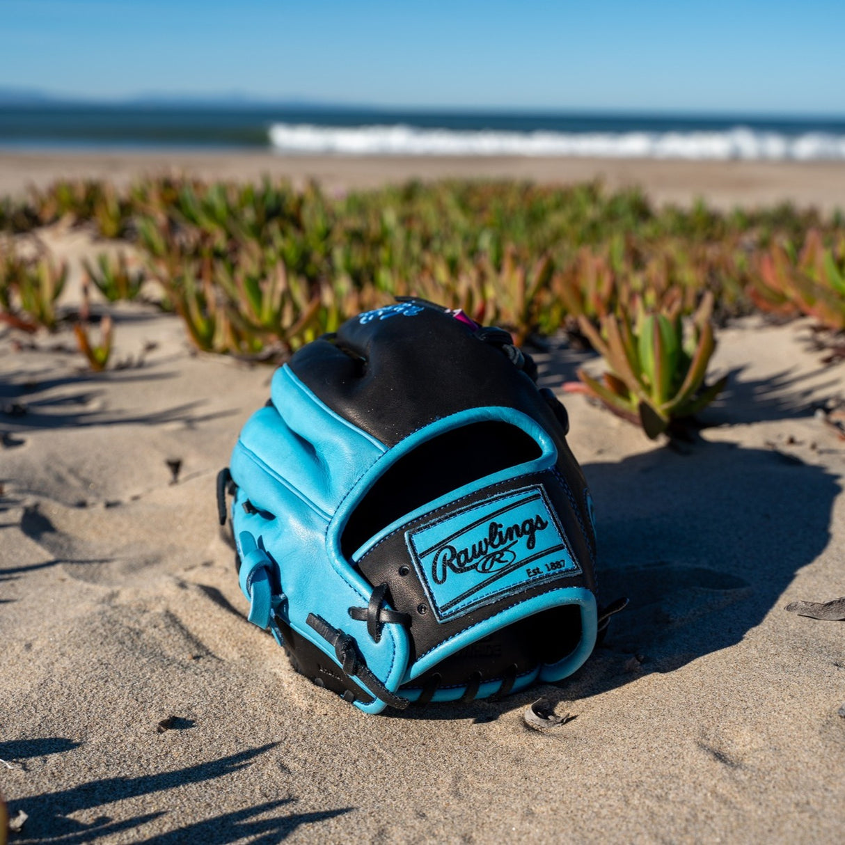 Rawlings Heart Of the Hide Spring Break 11.5" PROR204 Infield Baseball Glove Baseball Gloves & Mitts All