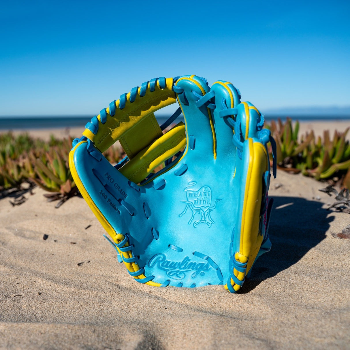 Rawlings Heart Of the Hide Spring Break 11.5" PROR204 Infield Baseball Glove Baseball Gloves & Mitts All