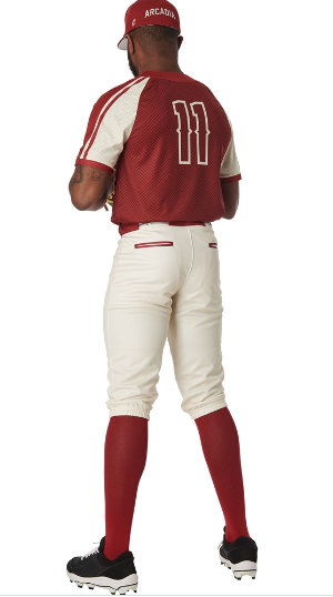Champro Juice Knicker Tall Pant Team Baseball Pants