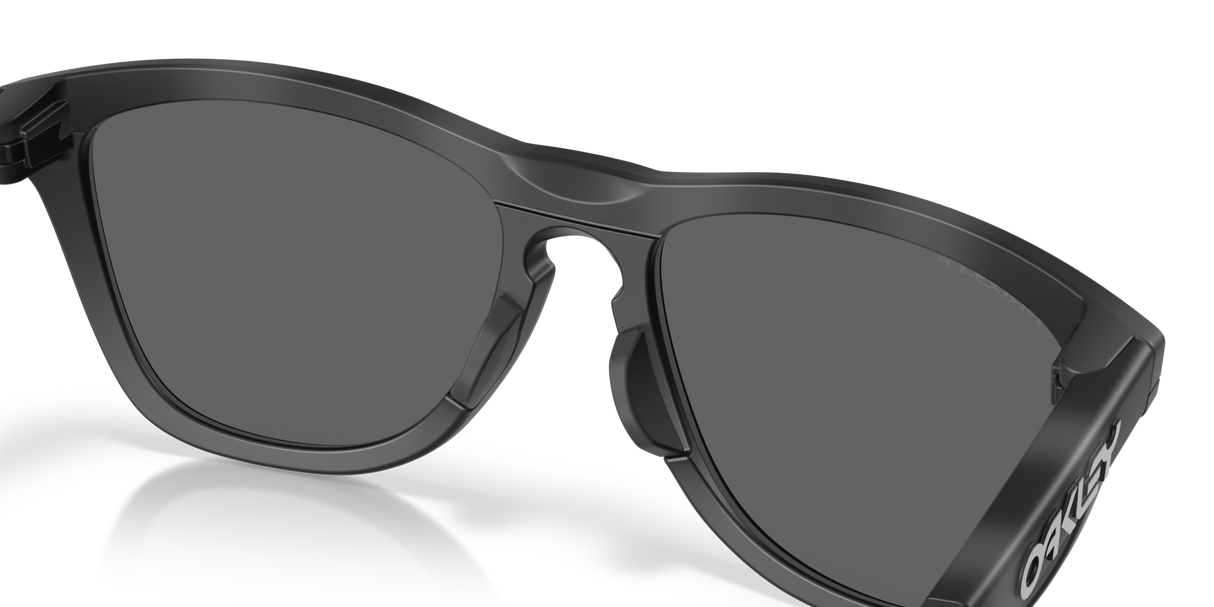 Oakley Frogskins Range XL Glasses-7
