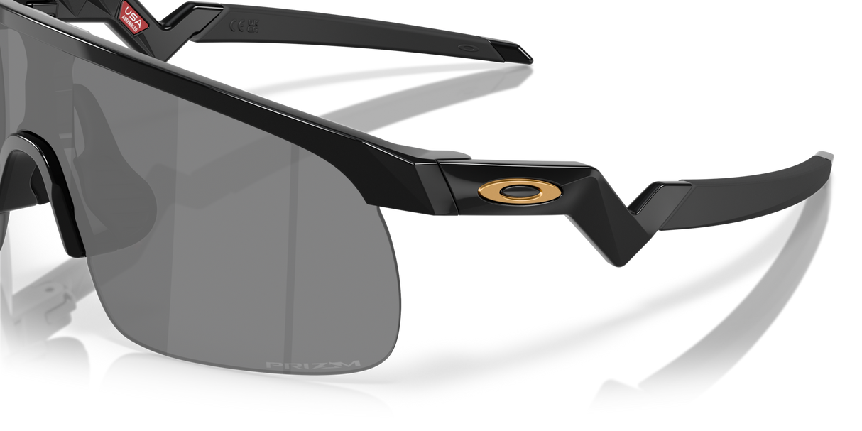 Oakley Resistor Sunglasses-6