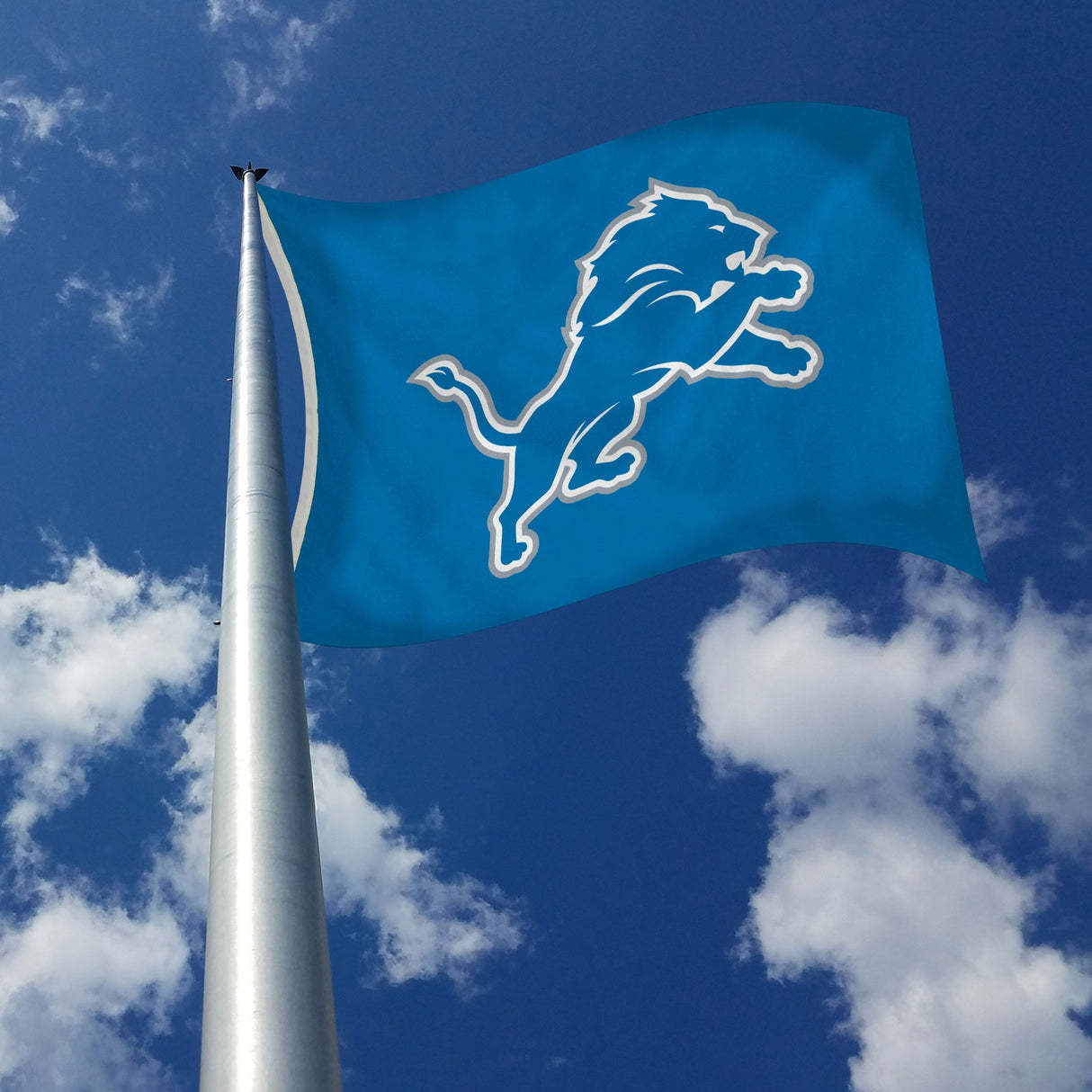 Rico Industries NFL Detroit Lions Standard 3' x 5' Banner Flag-2