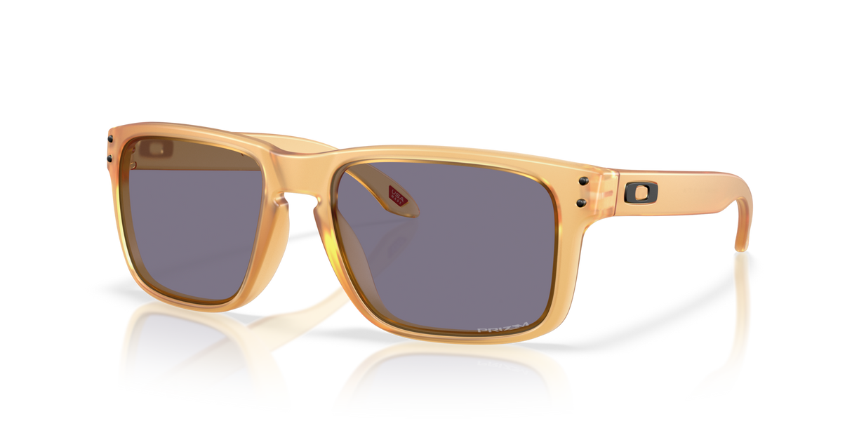Oakley Holbrook Glasses-2