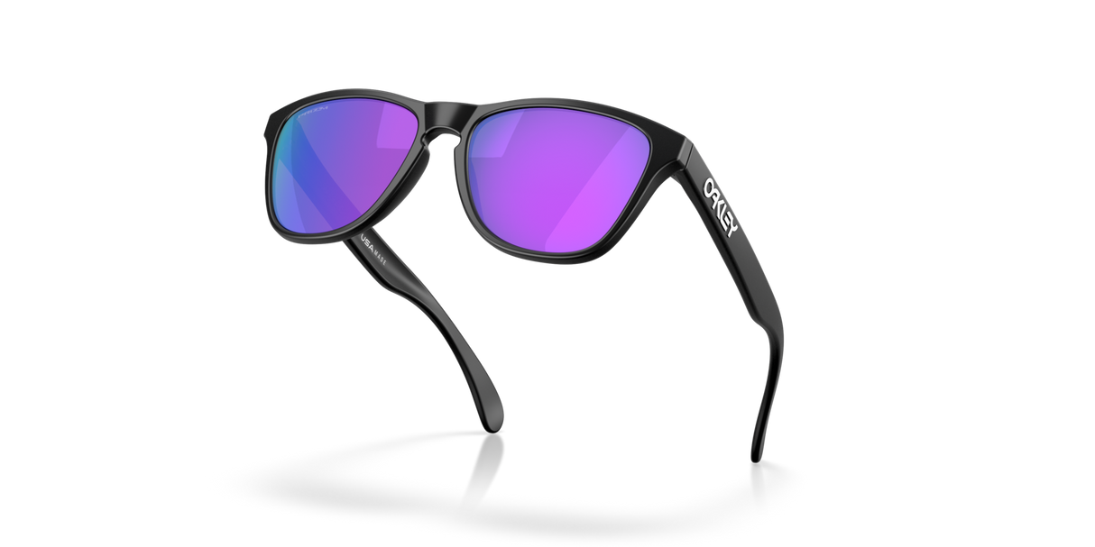 Oakley Frogskins S Glasses-5