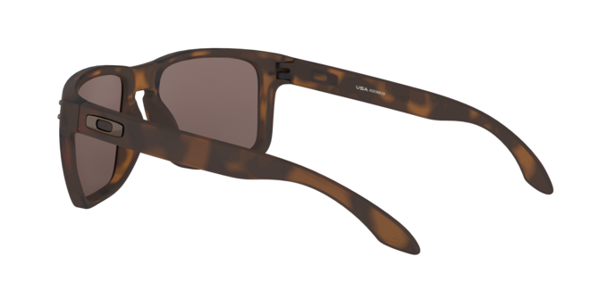 Oakley Holbrook XL Glasses-12