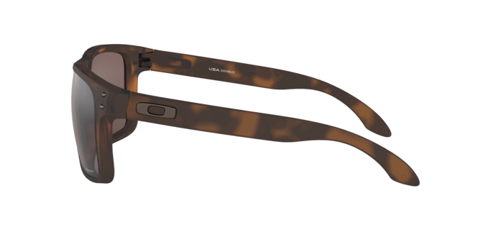 Oakley Holbrook XL Glasses-8