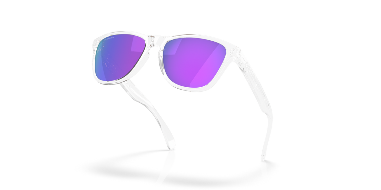 Oakley Frogskins S Glasses-5