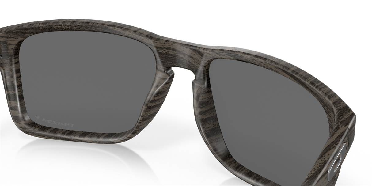 Oakley Holbrook XL Glasses-11
